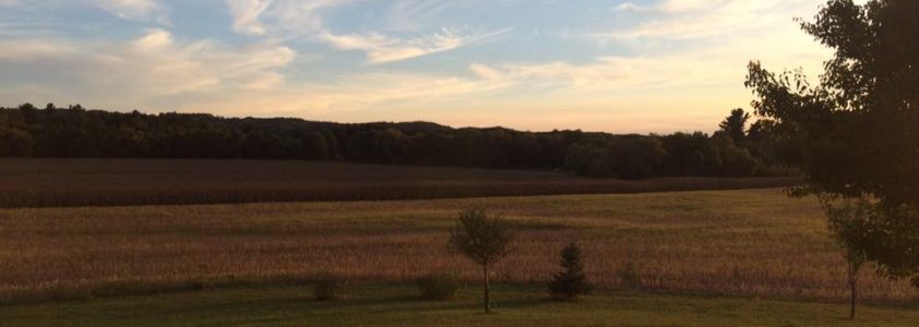 Growing Our Homestead from the Ground Up